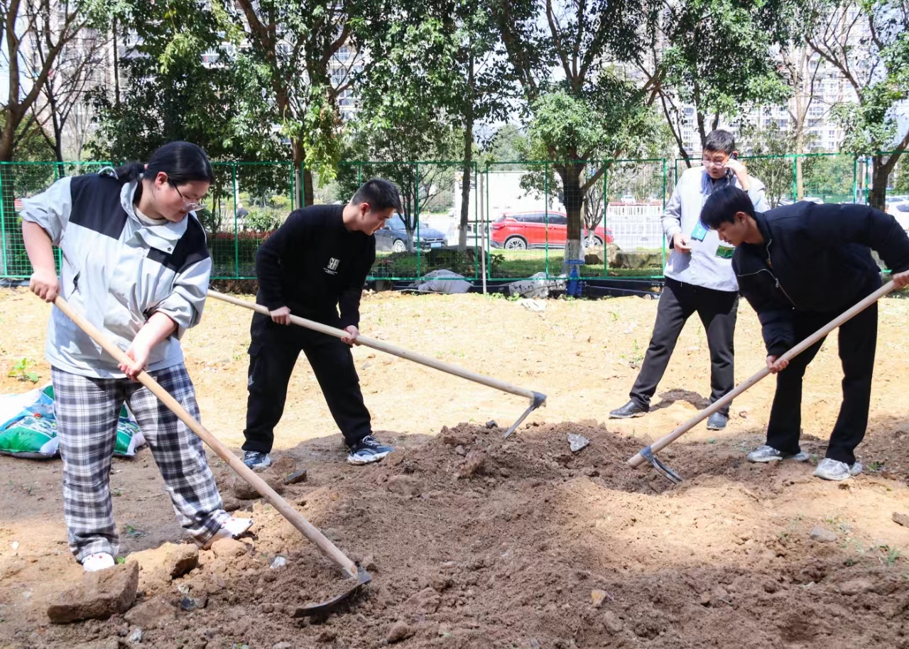 so米体育指定入口图片